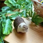 帶皮豬中