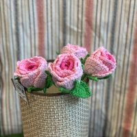 玫瑰花 玫瑰花