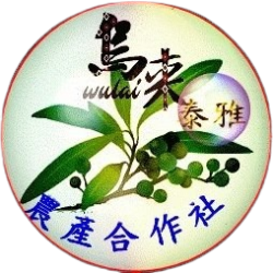 新北市烏來泰雅合作社_臉書圖片
